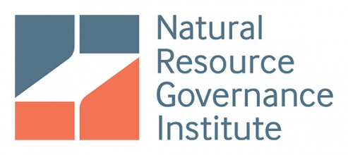 logo-nrgi